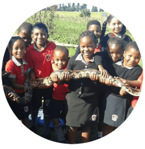 school Outings image