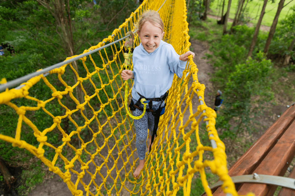 Tree Trails Party Image